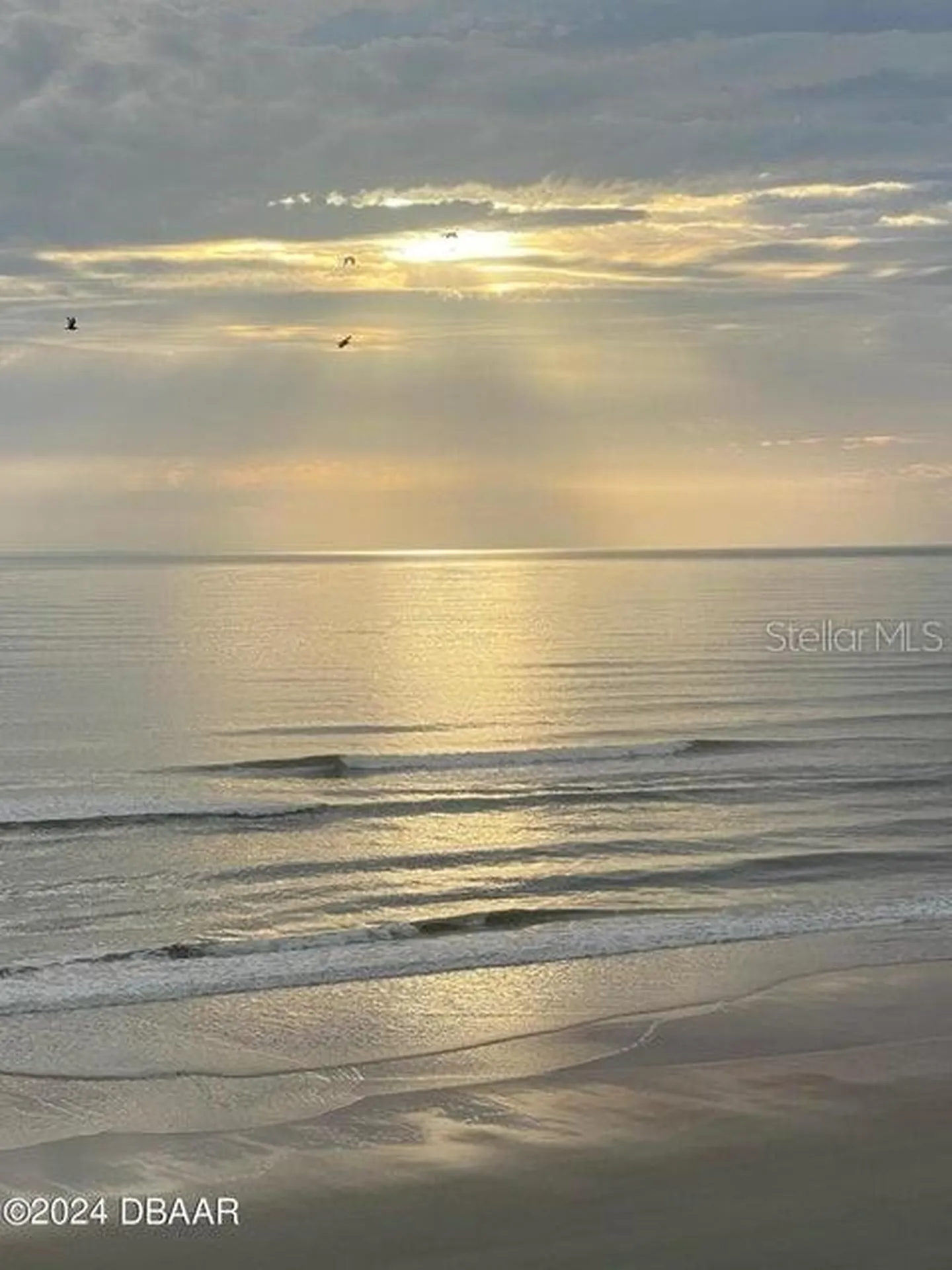 2828 N Atlantic Avenue Daytona Beach FL 32118