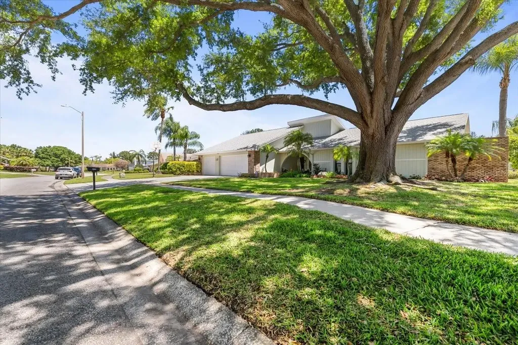 3111 Hyde Park Drive Clearwater FL 33761