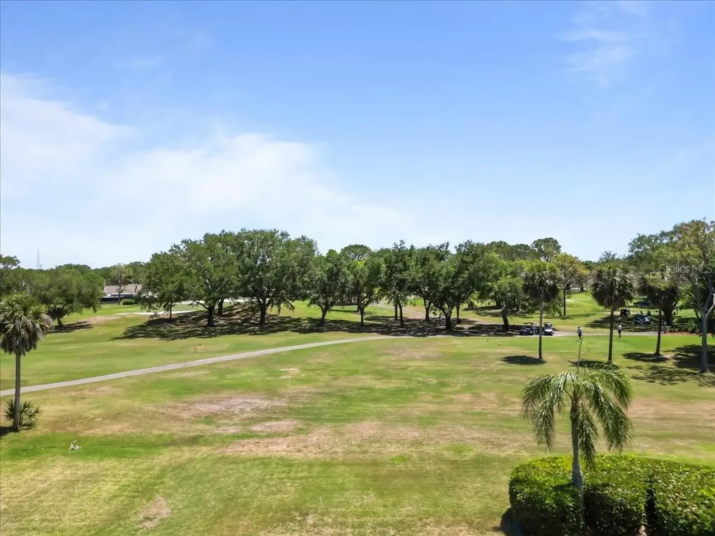3111 Hyde Park Drive Clearwater FL 33761