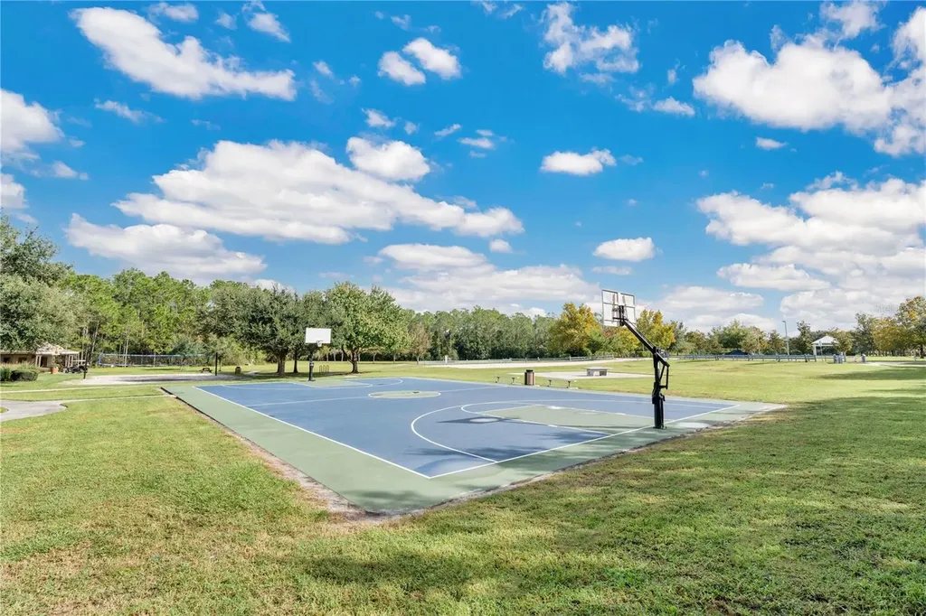 3320 Bracken Fern Drive Harmony FL 34773