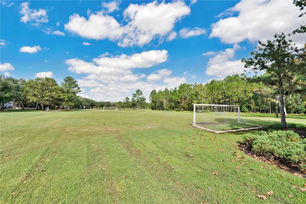 3320 Bracken Fern Drive Harmony FL 34773