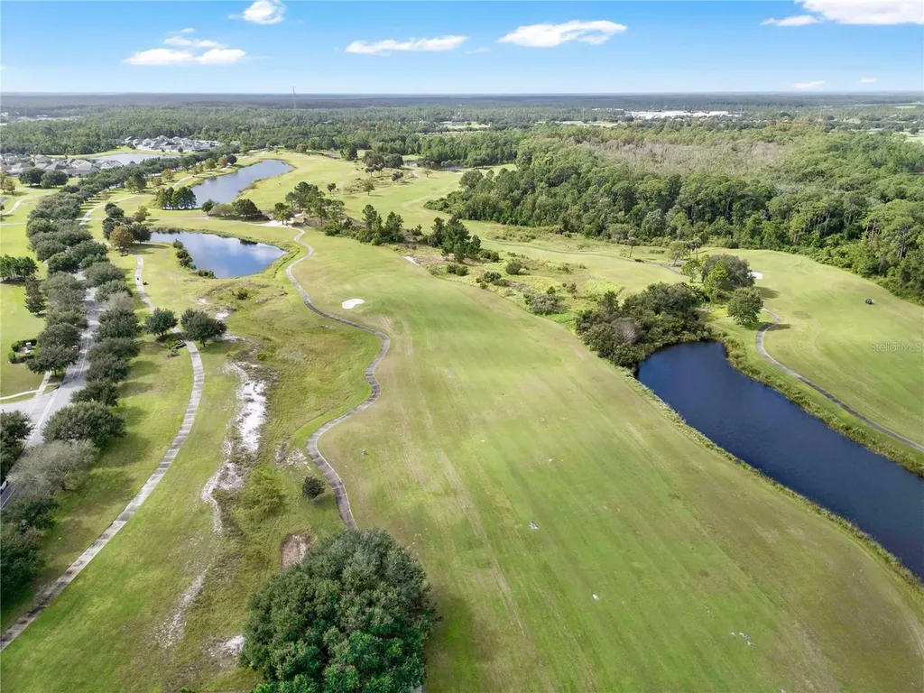 3320 Bracken Fern Drive Harmony FL 34773
