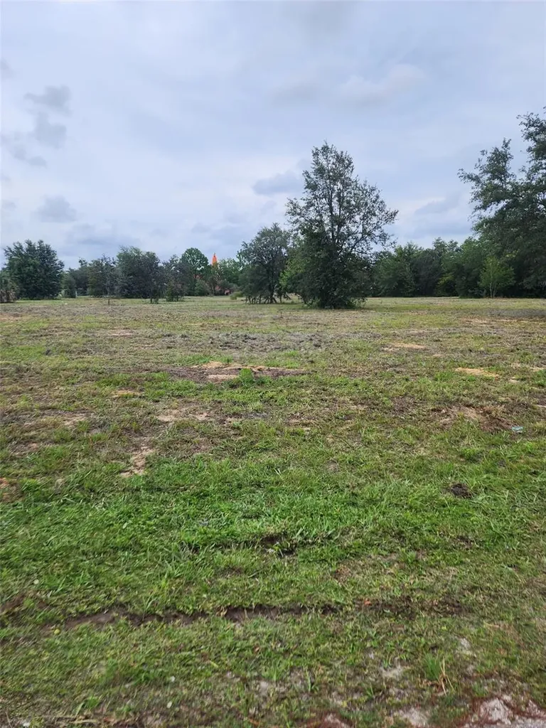4975 E Triss Street Inverness FL 34452