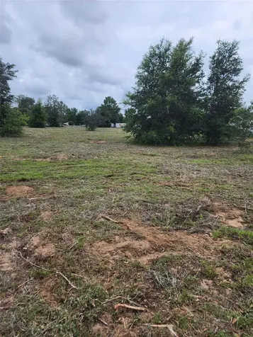 4975 E Triss Street Inverness FL 34452