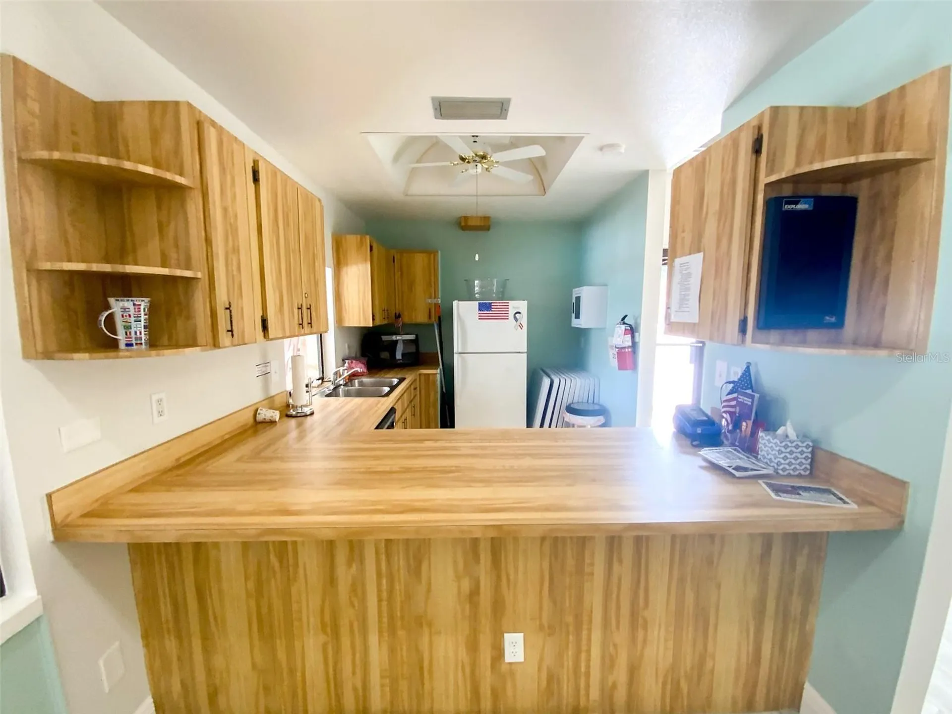 1125 Montrose Place Dunedin FL 34698