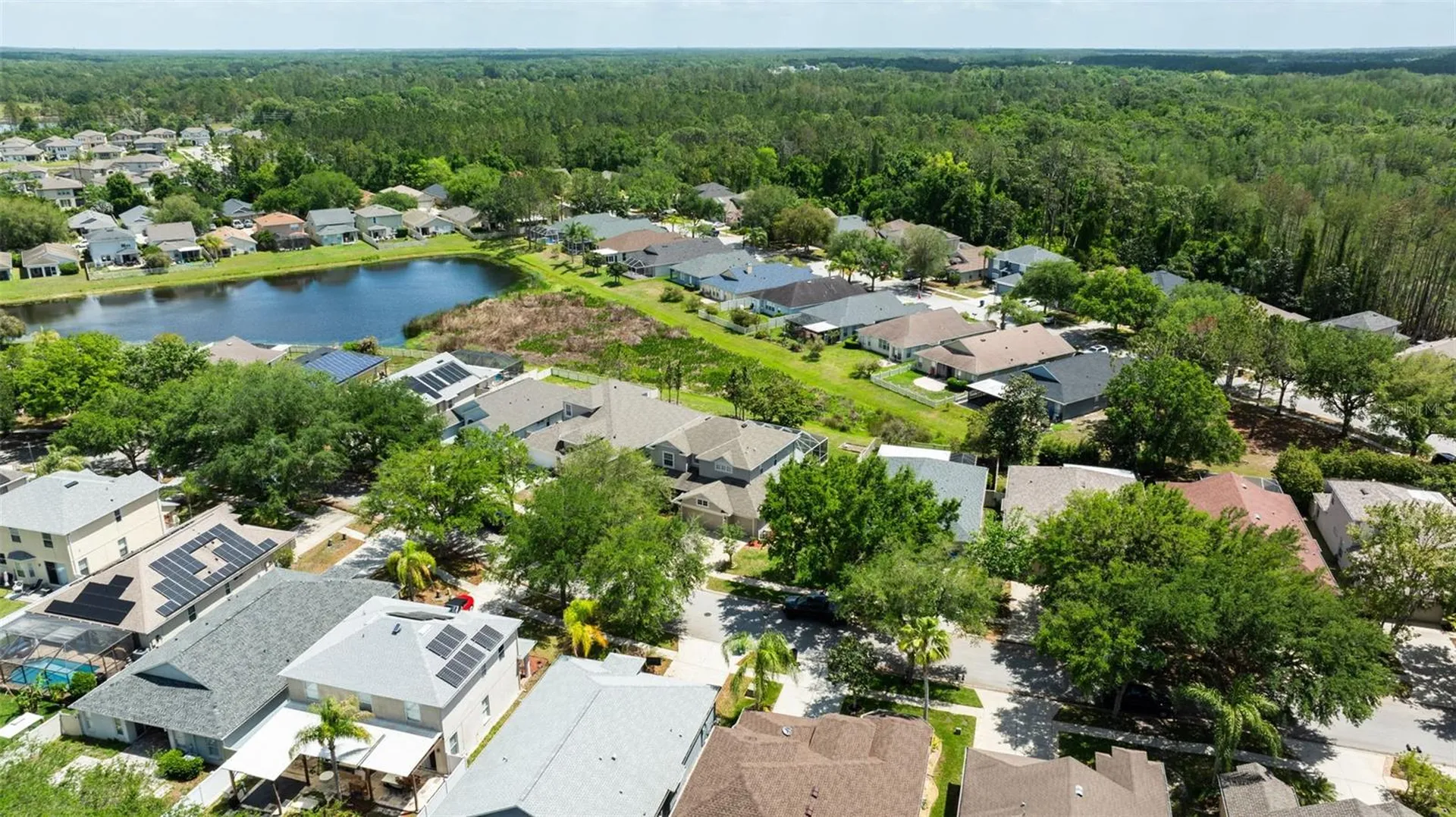 7104 Moss Ledge Run Land O Lakes FL 34637