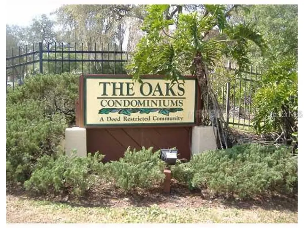 14321 Hanging Moss Circle Tampa FL 33613