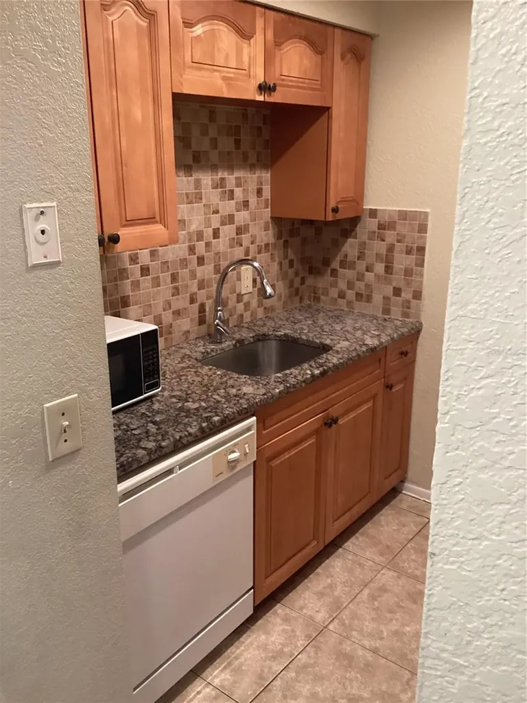 14321 Hanging Moss Circle Tampa FL 33613