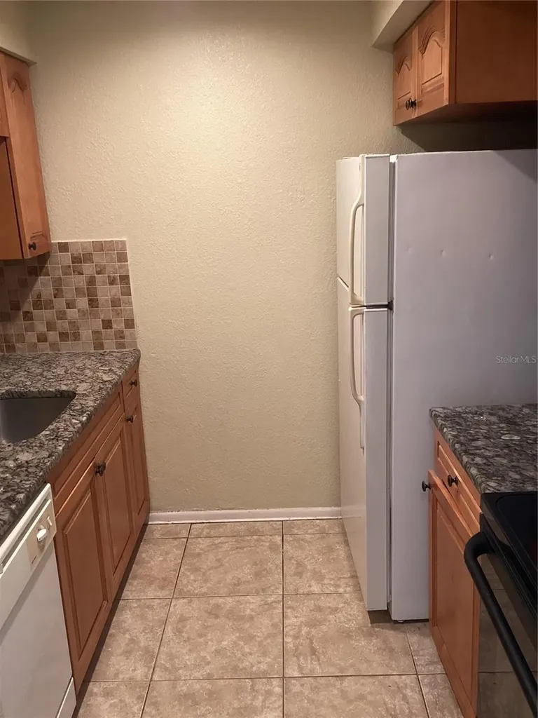 14321 Hanging Moss Circle Tampa FL 33613