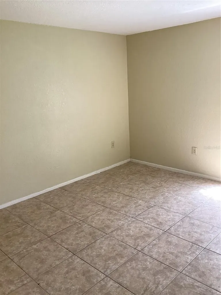 14321 Hanging Moss Circle Tampa FL 33613