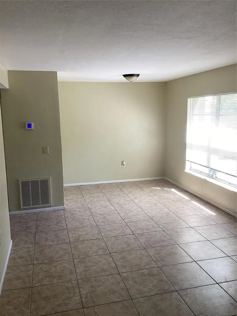 14321 Hanging Moss Circle Tampa FL 33613