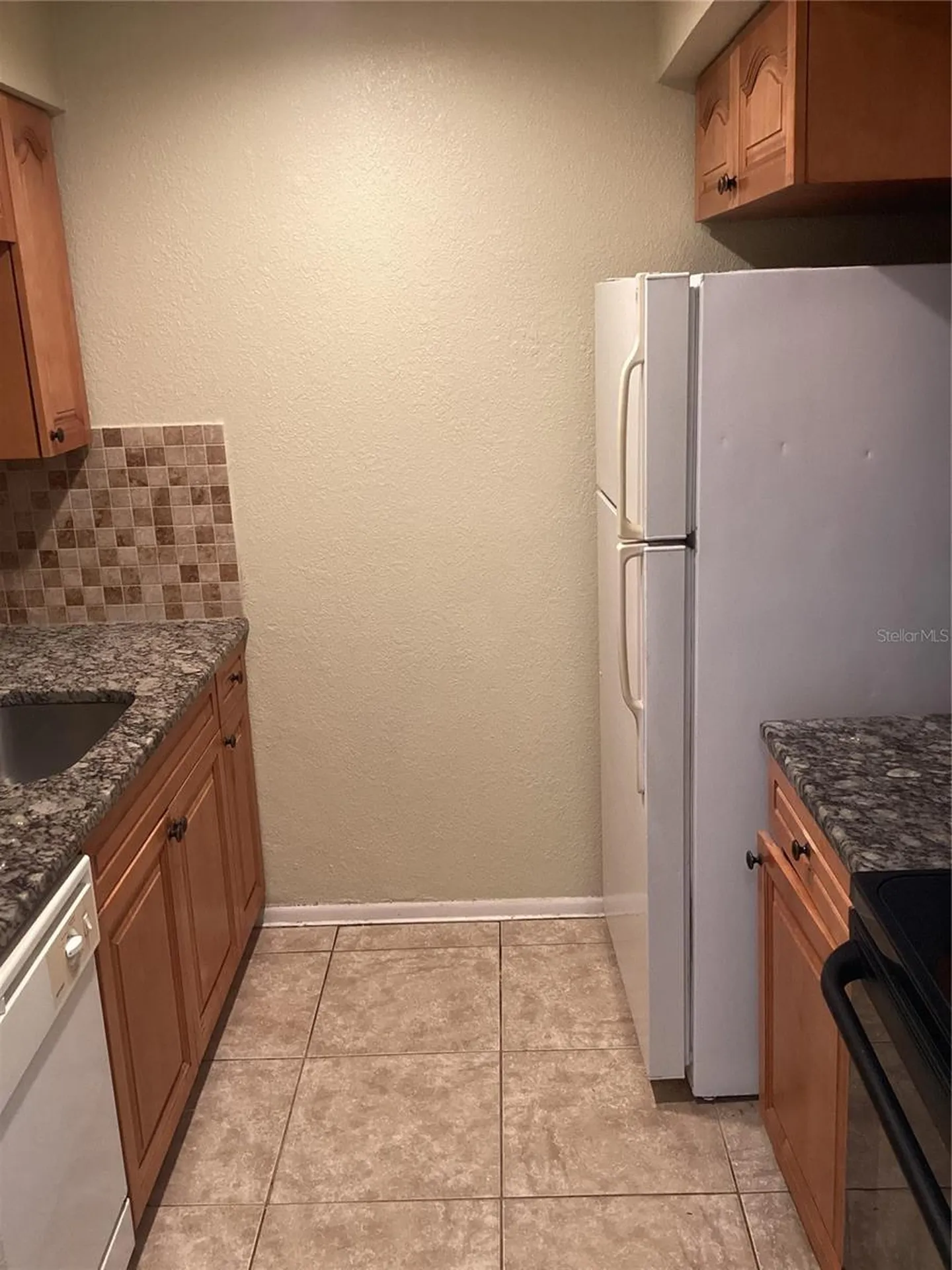 14321 Hanging Moss Circle Tampa FL 33613