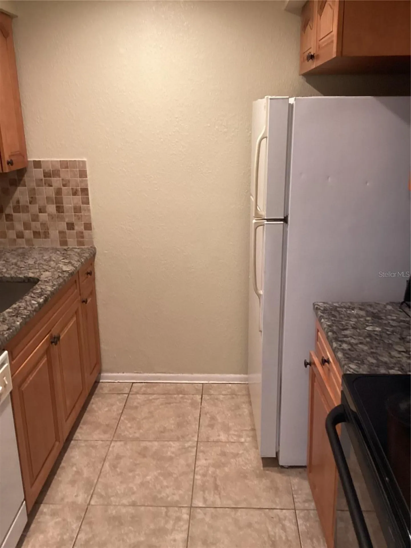 14321 Hanging Moss Circle Tampa FL 33613