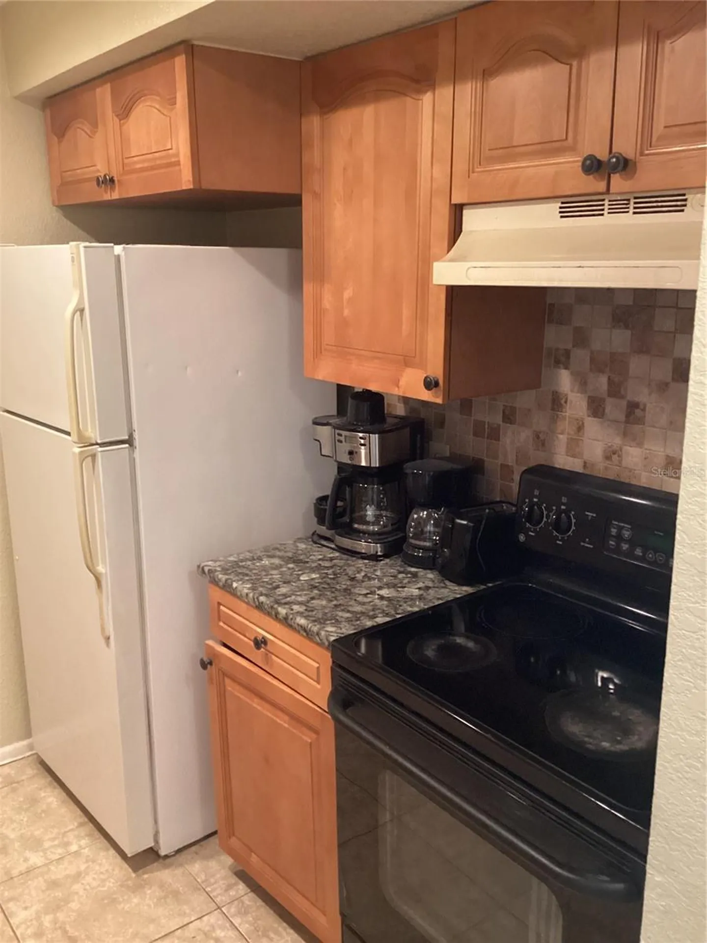 14321 Hanging Moss Circle Tampa FL 33613