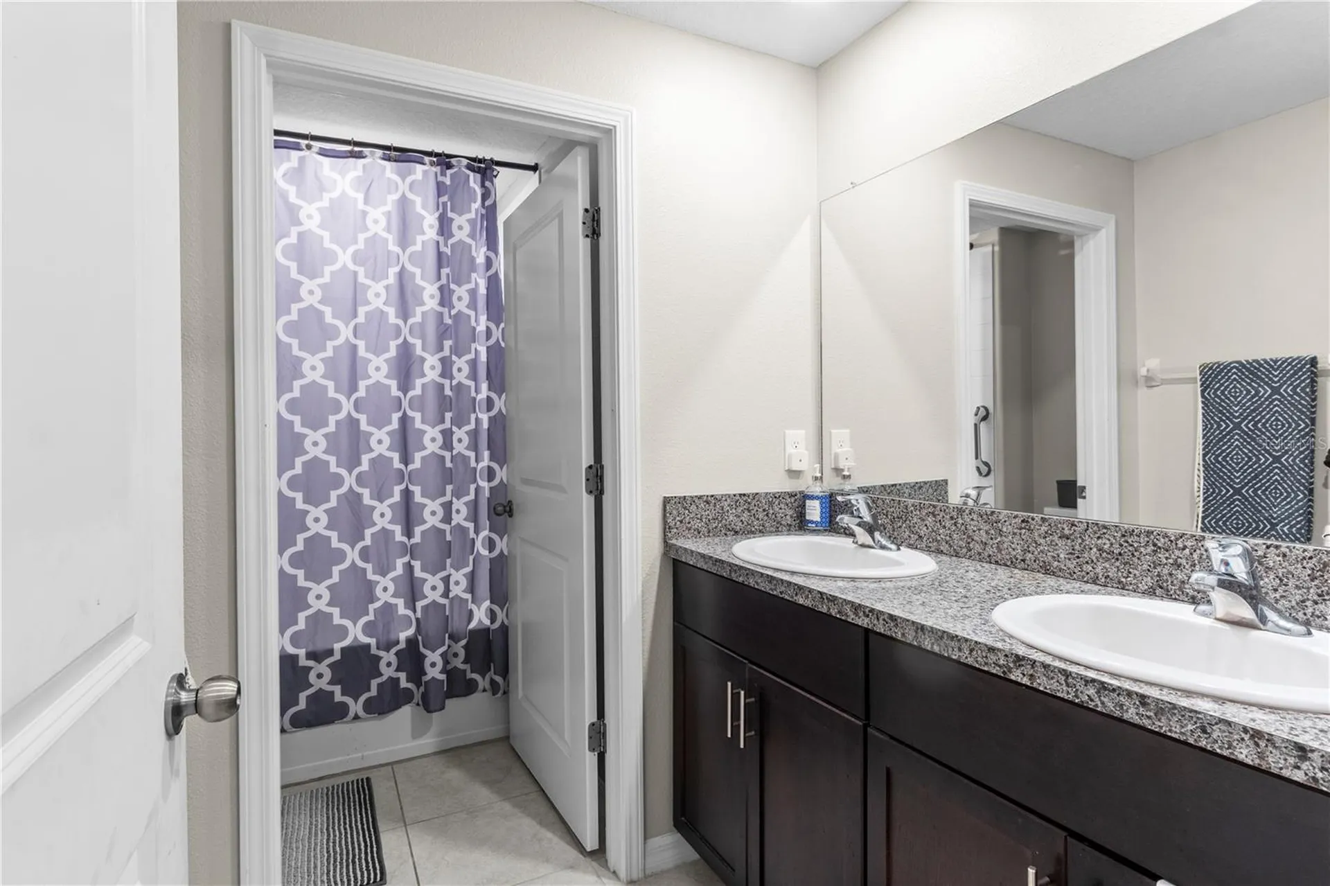 13525 Willow Bluestar Loop Riverview FL 33579