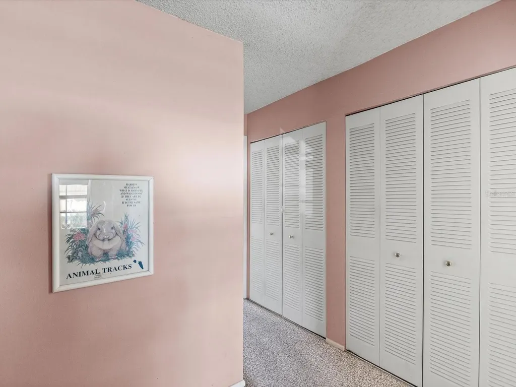 11423 Wheeling Drive Tampa FL 33625