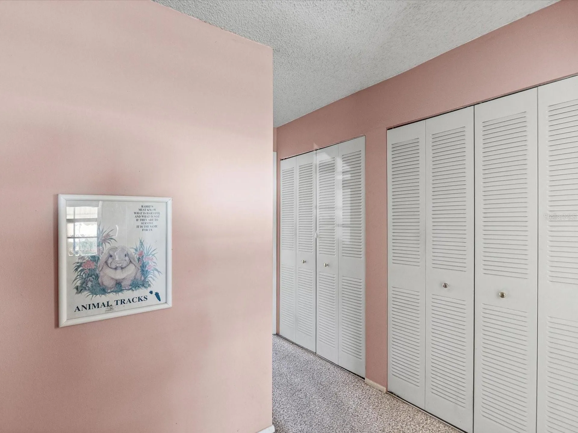 11423 Wheeling Drive Tampa FL 33625