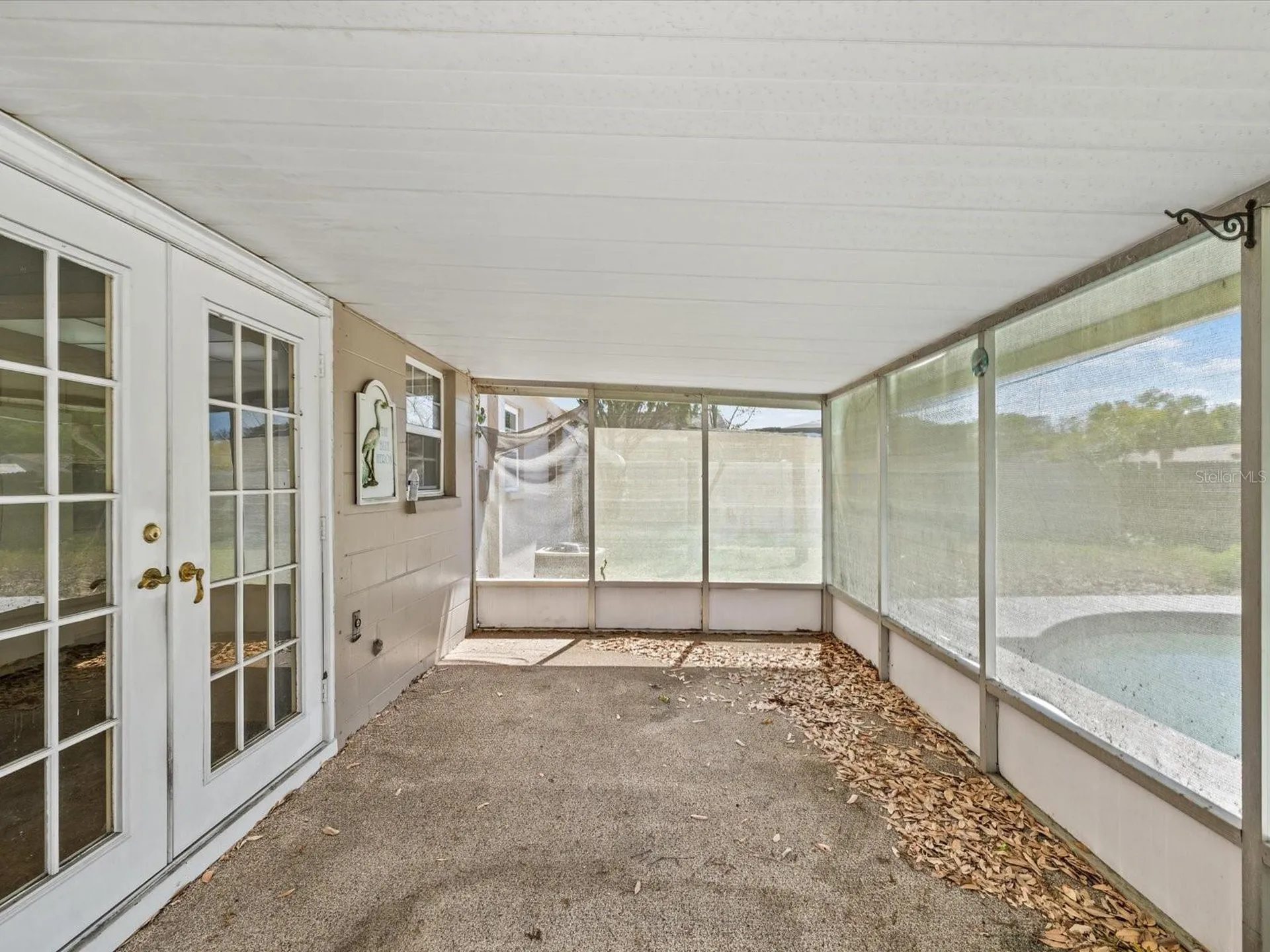 11423 Wheeling Drive Tampa FL 33625