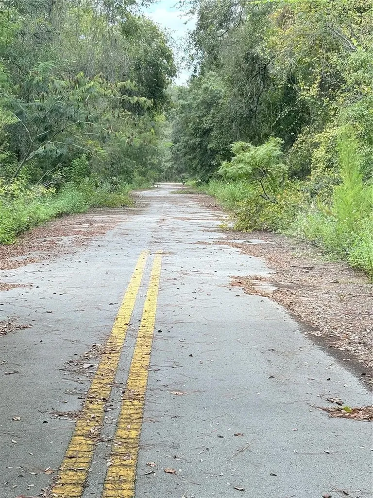 Tbd NE 237th Place Fort Mc Coy FL 32134