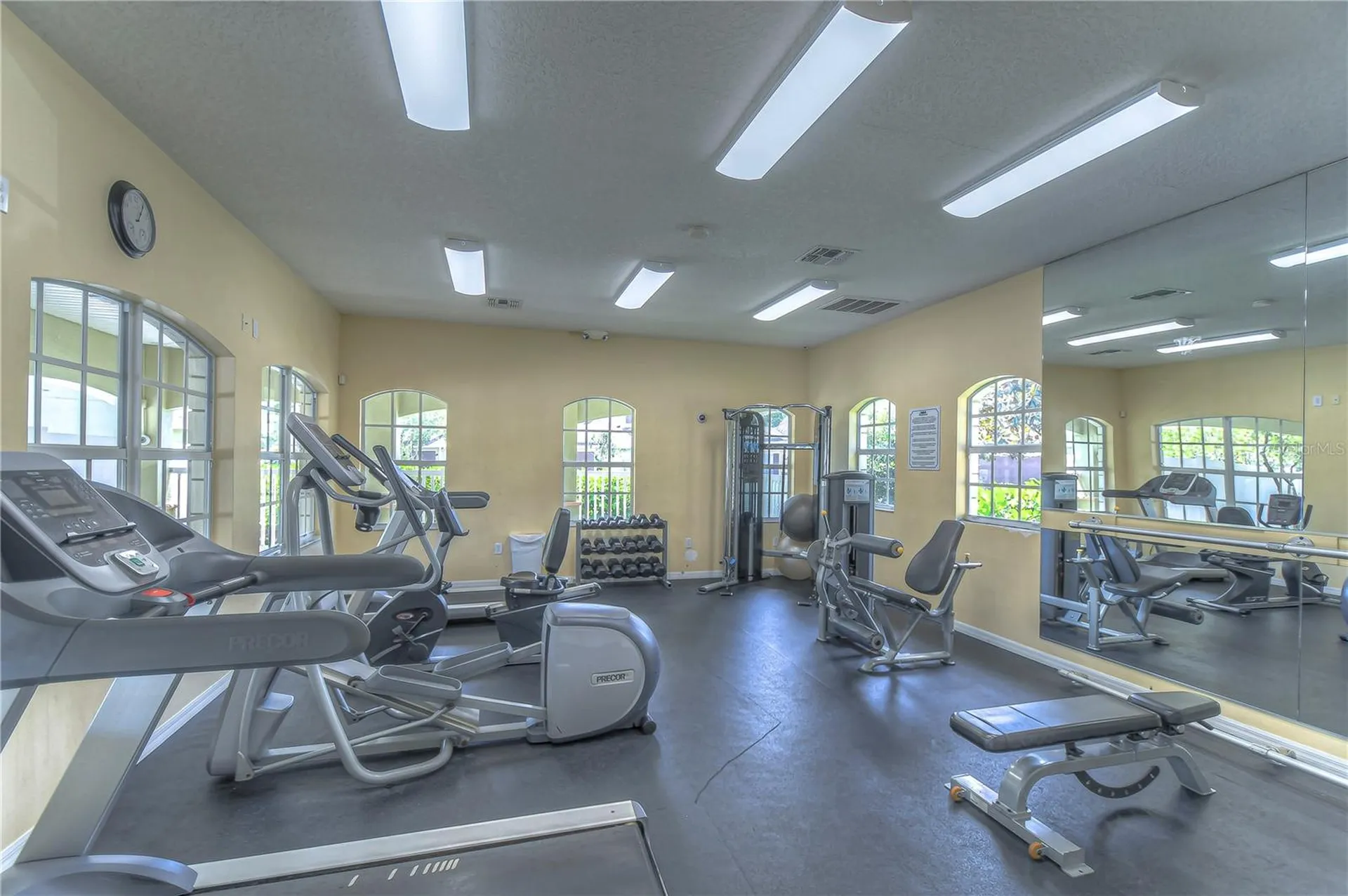 8507 Sandpiper Ridge Avenue Tampa FL 33647