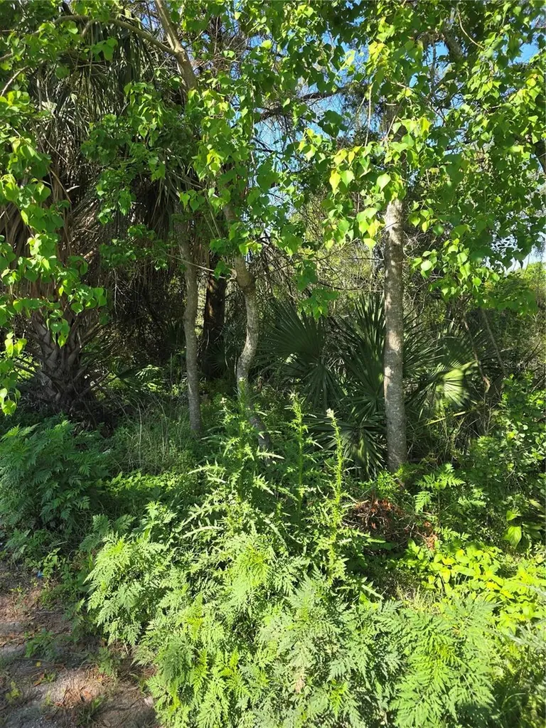 226 Walnut Avenue Orange City FL 32763
