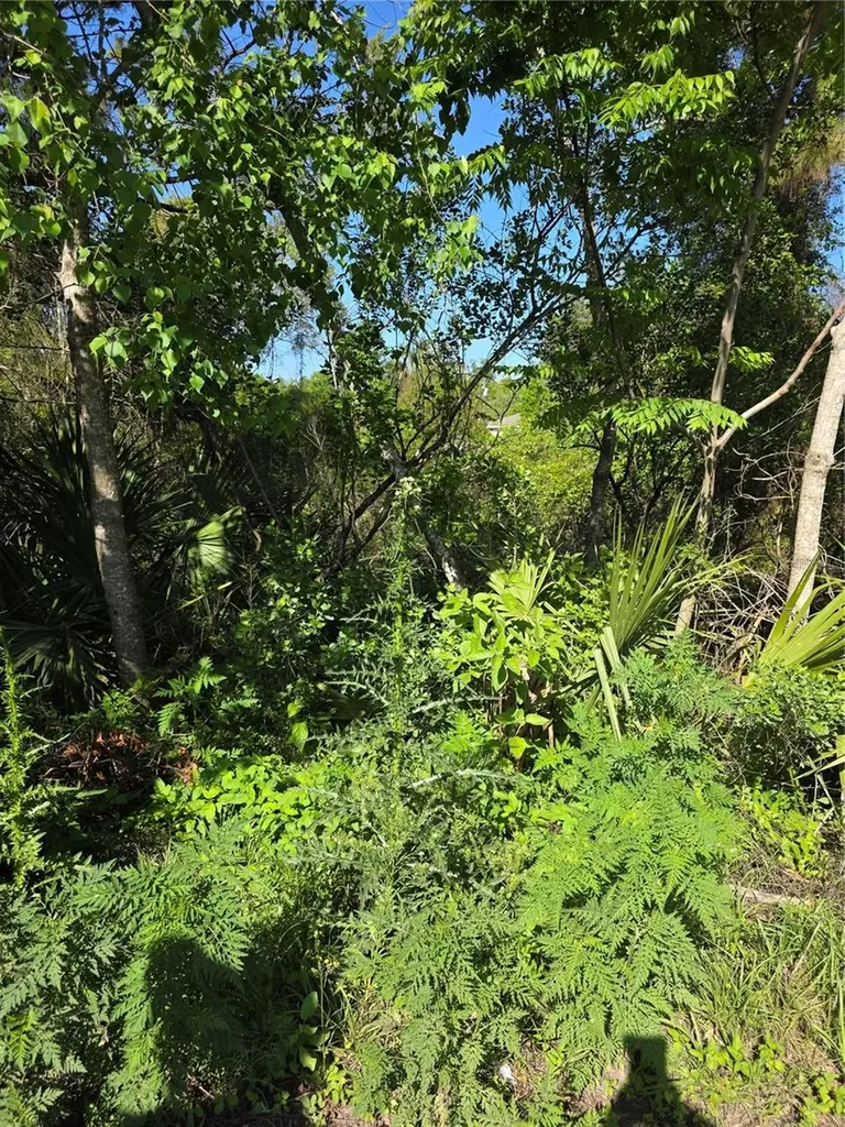 226 Walnut Avenue Orange City FL 32763