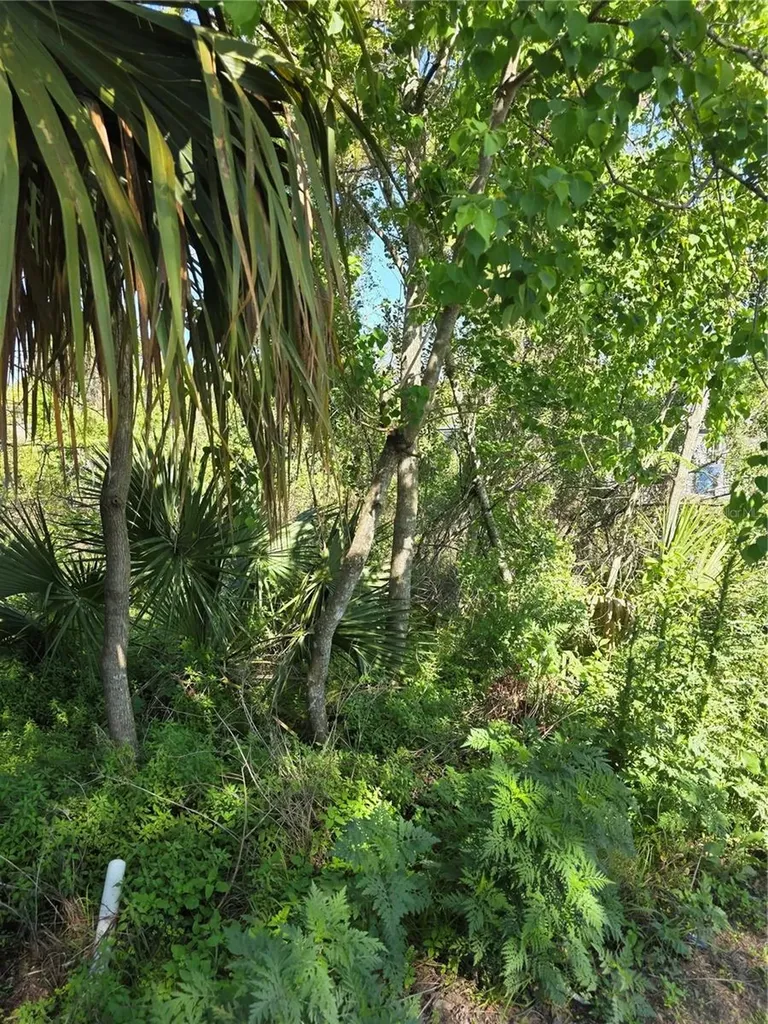 226 Walnut Avenue Orange City FL 32763