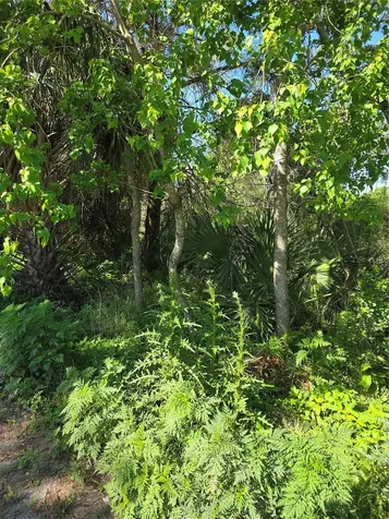 226 Walnut Avenue Orange City FL 32763