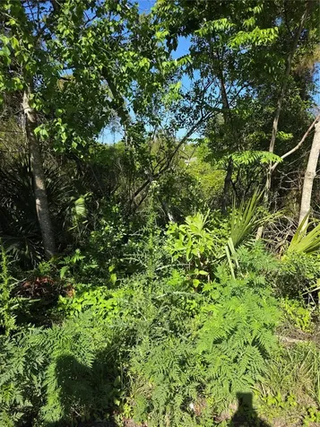 226 Walnut Avenue Orange City FL 32763