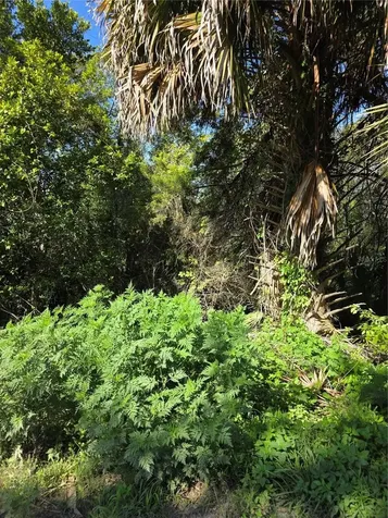 226 Walnut Avenue Orange City FL 32763