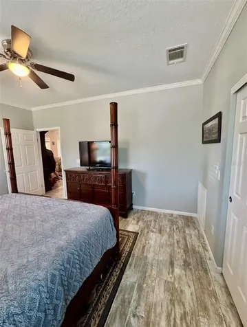 6709 Cooper Crossing Court Plant City FL 33565