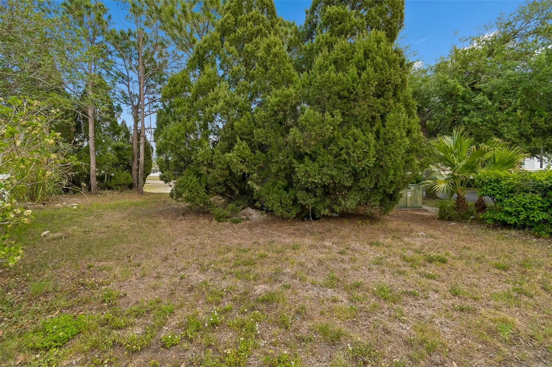 13514 Majestic Pine Way Riverview FL 33579