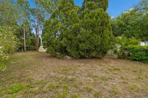 13514 Majestic Pine Way Riverview FL 33579