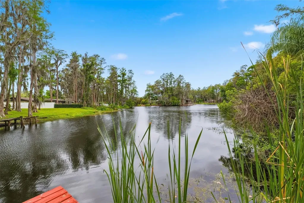 19003 Cedar Lane Lutz FL 33548