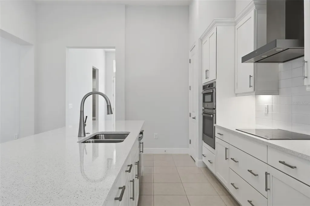 28761 Sweet Persimmon Drive Wesley Chapel FL 33543