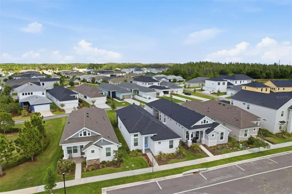 28761 Sweet Persimmon Drive Wesley Chapel FL 33543