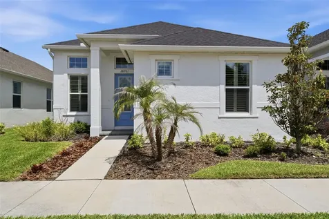 28761 Sweet Persimmon Drive Wesley Chapel FL 33543