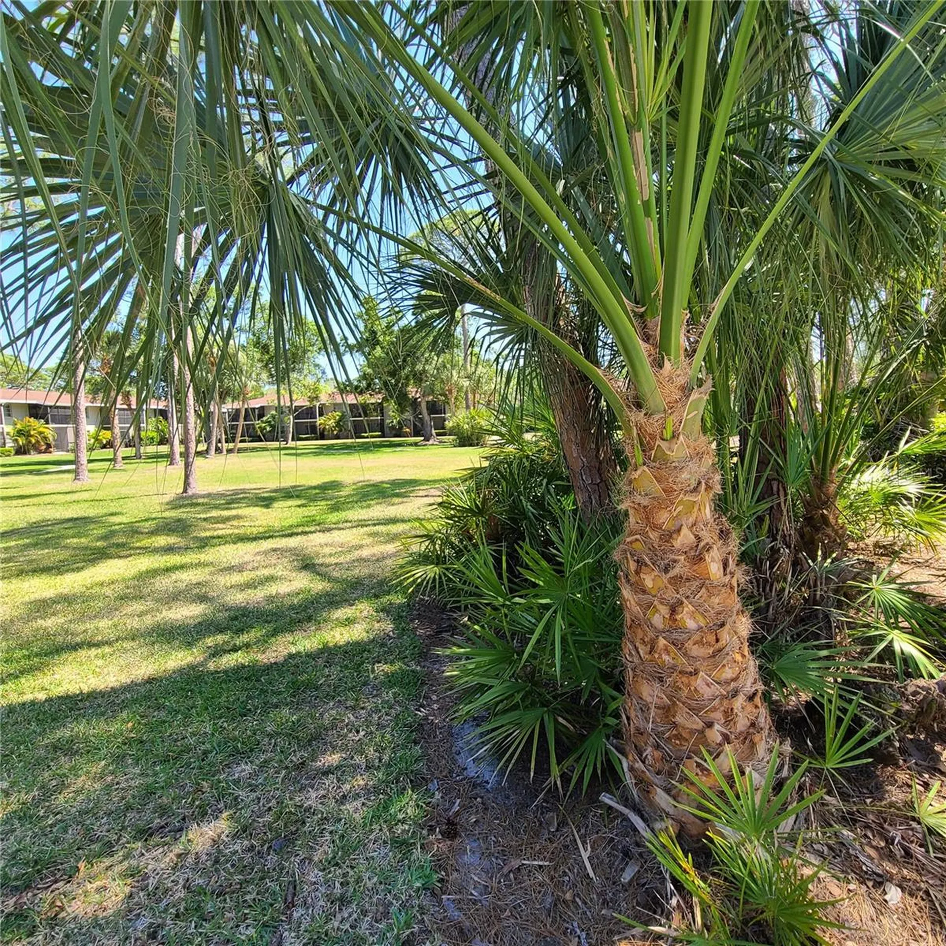 924 La Costa Circle Sarasota FL 34237