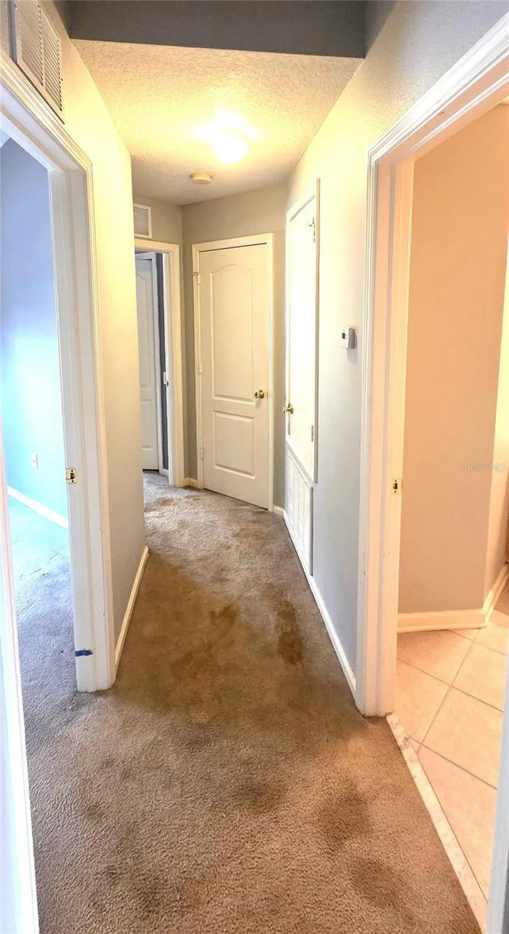 2729 Conch Hollow Drive Brandon FL 33511