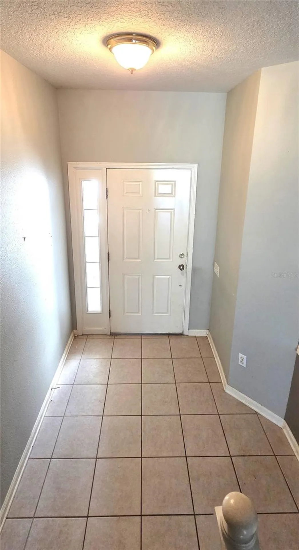 2729 Conch Hollow Drive Brandon FL 33511