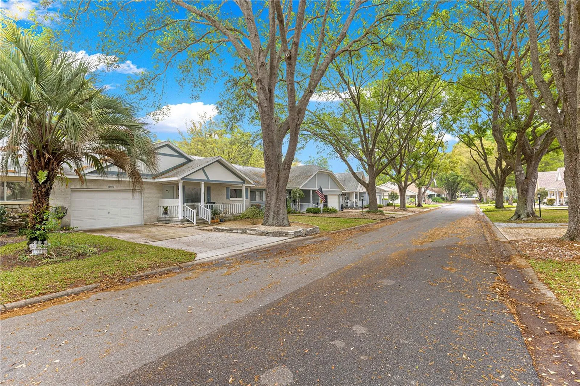 8519 SW 91st Street Ocala FL 34481