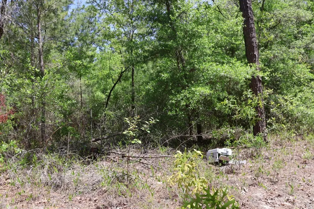 Tbd SW 157th Lane Dunnellon FL 34432