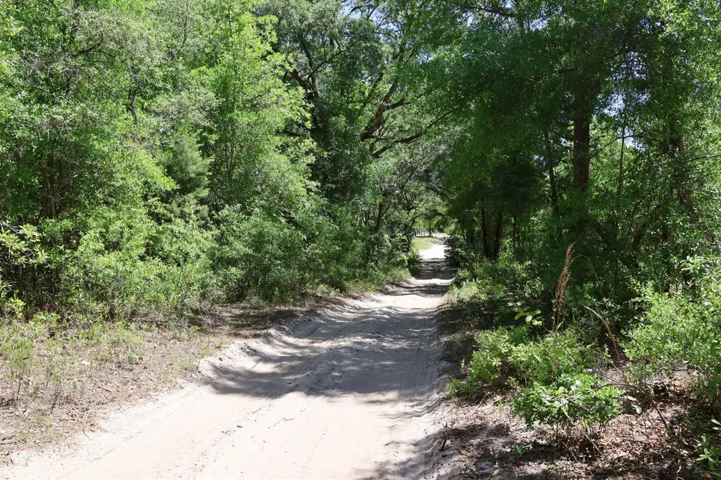 Tbd SW 157th Lane Dunnellon FL 34432