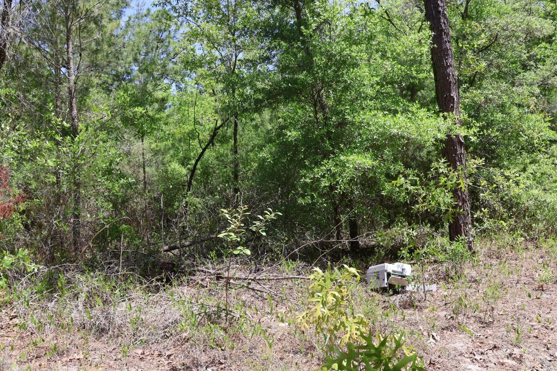Tbd SW 157th Lane Dunnellon FL 34432