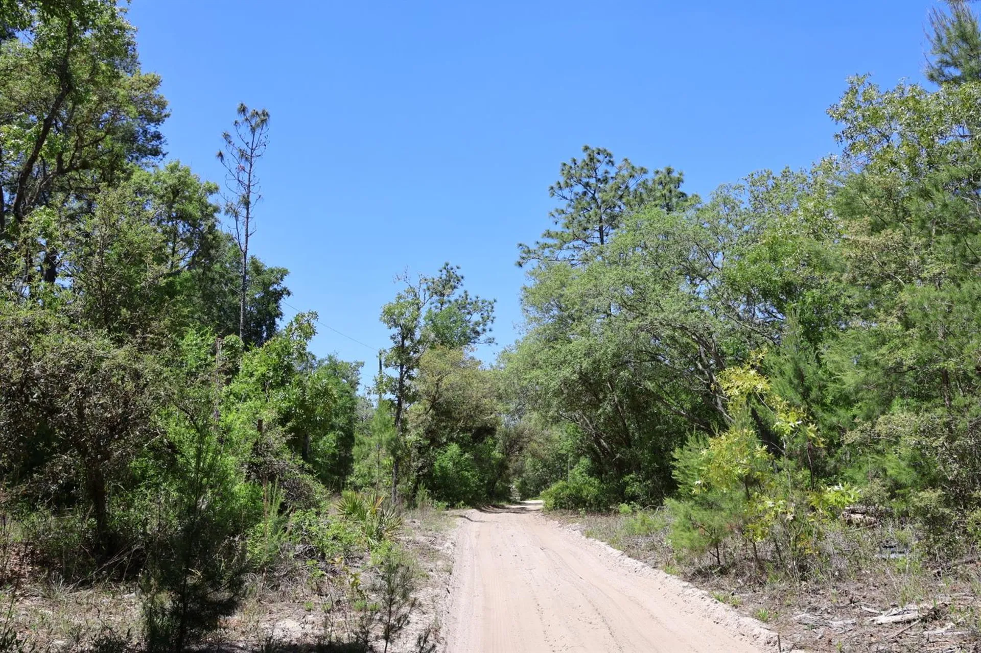 Tbd SW 157th Lane Dunnellon FL 34432