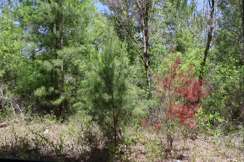 Tbd SW 157th Lane Dunnellon FL 34432