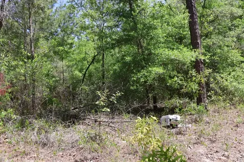 Tbd SW 157th Lane Dunnellon FL 34432