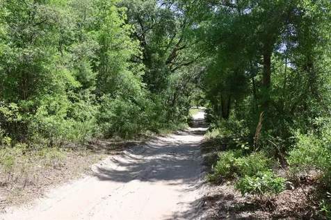 Tbd SW 157th Lane Dunnellon FL 34432