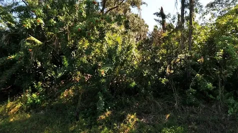 Tucson Road North Port FL 34286