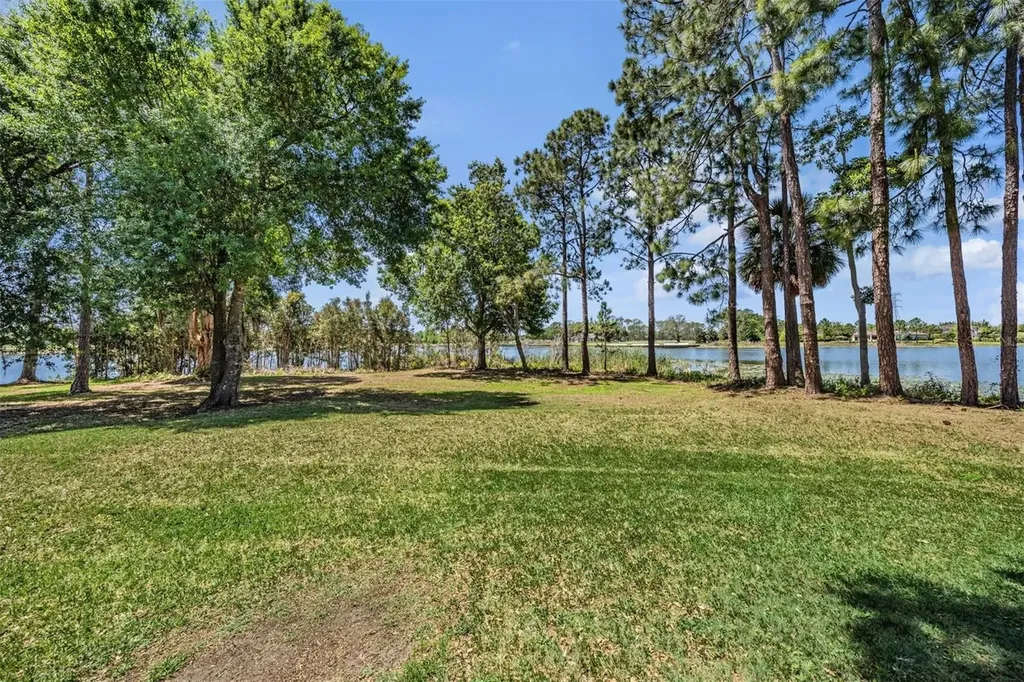 9134 Tillinghast Drive Tampa FL 33626